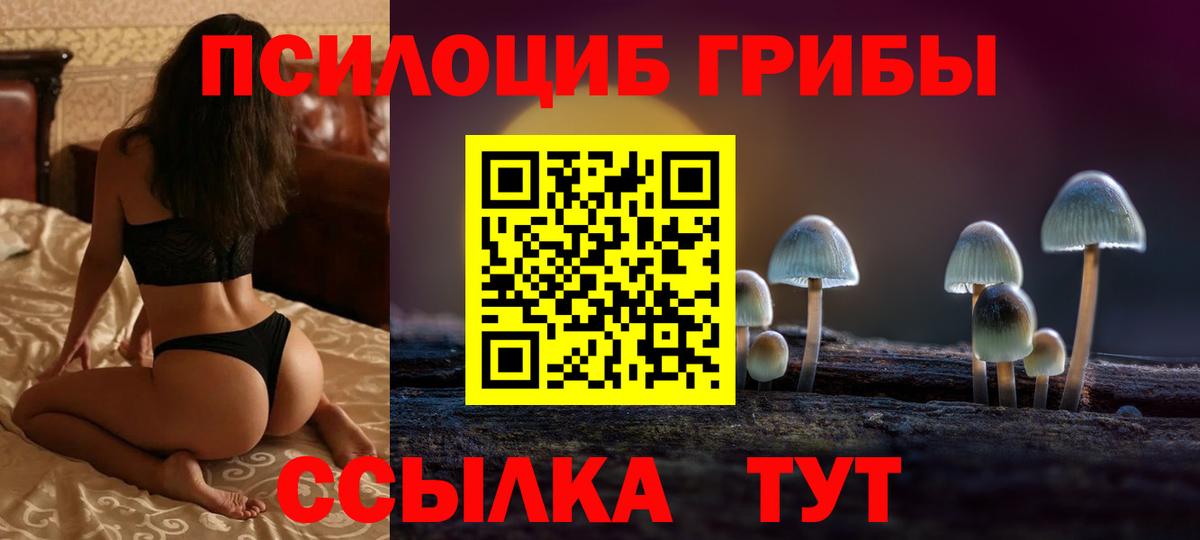 Псилоцибиновые грибы MAGIC MUSHROOMS  Вход с VPN  Златоуст  Галлюциногенные грибы Cubensis 